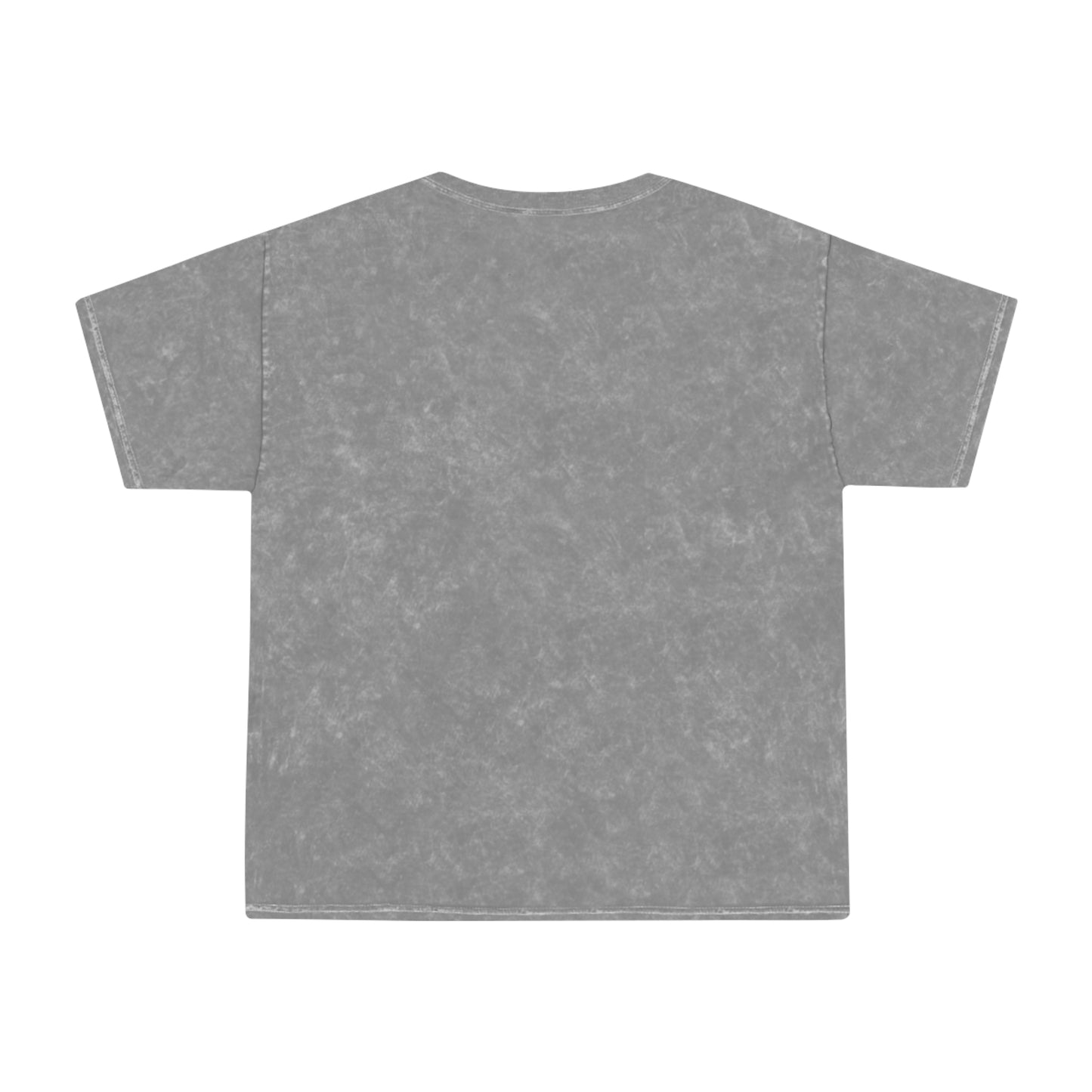 Game Day Eagle Glasses Mineral Wash T-Shirt - Grey